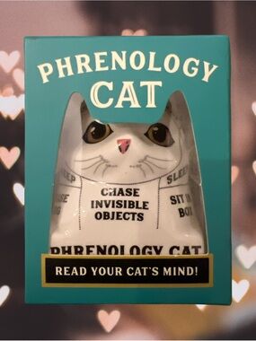 NIB  Phrenology Cat: Read Your Cat's Mind! mini ceramic bust w/ book